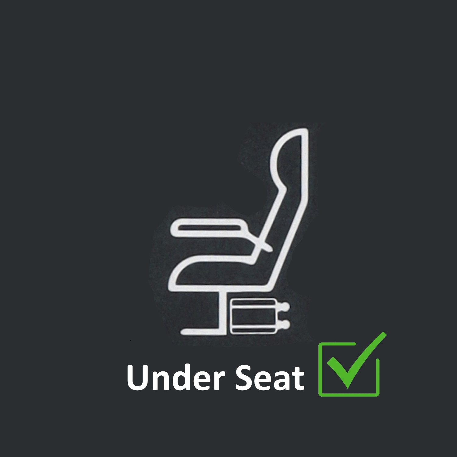 UnderSeat